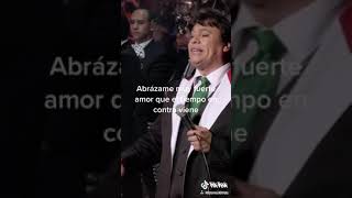 Abrazame Muy Fuerte  Juan Gabriel [upl. by Etnauq]