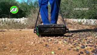 Olive harvester  εργάτες της ελιάς  ramasseuse dolives  zeytin toplama  قاطفي الزيتون [upl. by Auguste961]