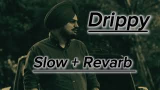 Drippy SlowRevarb Sindho Mosa Wala Punjabi song [upl. by Petrina]