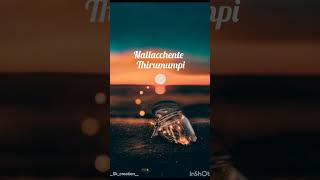 Pallivaalu bhadravattakam song trending reels shorts shortviral lyrics [upl. by Tammie]