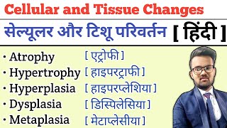 Cellular and Tissue Changes  Atrophy  Hypertrophy  Hyperplasia  Dysplasia  Metaplasia [upl. by Darryl]