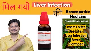 Leucas Aspara  Homeopathic Medicine For Liver Infection  How to Use  Symptoms [upl. by Inaffyt]