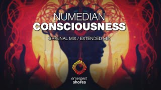 Numedian  Consciousness Emergent Shores [upl. by Biggs]