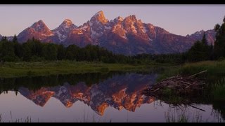 Summer in Jackson Hole Forever [upl. by Naie19]