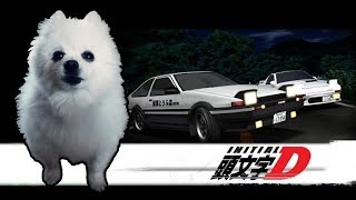 INITIAL D  DEJA VU em CACHORRÊS [upl. by Pavyer411]