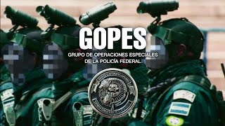 Grupo de Operaciones Especiales de la Policía Federal GOPES México [upl. by Orlantha163]