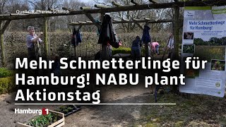 Im Harburger Stadtpark NABU plant StadtNaturAktionstag [upl. by Mace]