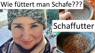 Schaffutter  Was fressen meine Schafe MELKZEIT IM STALL [upl. by Adnam419]