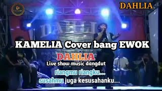 kamelia cover bang EWOK Dahlia music [upl. by Caesar]