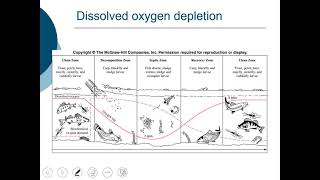 ENE 483 Absorption and the Streeter Phelps Model [upl. by Chura]