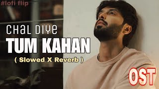 Chal diye tum kahan 🎶OST  Slowed X Reverb  KABHI MAIN KABHI TUM💕  Lofi Flip  lotsofeditx [upl. by Cusack594]