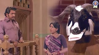 Indha Aaddu 🐐 dhaan sachi ah 😱😨😳 Aatukara Alamelu  Siva Kumar  Sri Priya  Nagesh rajshritamil [upl. by Sonia]