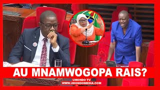 MBUNGE TABASAMU quotTUNASHANGAA KUNA UJENZI WA KIMAGUMASHI UNAENDELEA WAZIRI ANAJUA KAMPATA WAPIquot [upl. by Tayler]