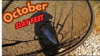 October SLAY FEST PT1 Delayed Harvest SMACKDOWN featuring NRV BAITS [upl. by Nnylecyoj]