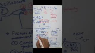 Equilibrium potential for an ion  شرح لمادة الفيسيولوجي بالعربي [upl. by Gnni520]