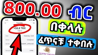 🛑በቀን እስከ quot 85000 quot ብር ድረስ ሚከፍላችሁ የ ONLINE ስራMake Money Onlineusdt order grabbing website [upl. by Hirasuna]