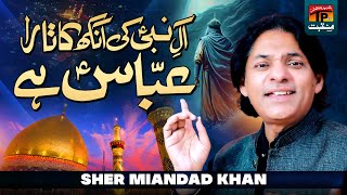 Aal Nabi Ki Ankh Ka Tara Abbas Hai  Sher Miandad Khan  TP Manqabat [upl. by Eintihw]