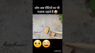 लोग अब चींटियों का भी मज़ाक उड़ाते हैं 🤣youtubeshorts shorts funny trending।।Ant [upl. by Ailuj504]