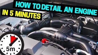 Clean amp Detail Your Car Engine in 5 Minutes [upl. by Dominga968]