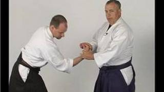 Kotegaieshi Basic Aikido Techniques  Kotagaeshi Wrist Lock from a Straight Punch [upl. by Lang946]