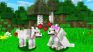 CACHORRO ENCONTRA AMOR DA SUA VIDA no MINECRAFT [upl. by Ynnav472]