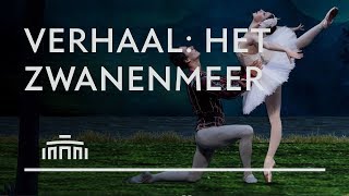 Verhaal Het Zwanenmeer animatie  Dutch National Ballet [upl. by Cort723]