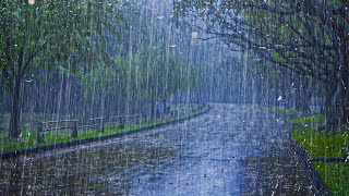 Addormentarsi velocemente in 5 minuti con forti Piogge Vento forte sulla strada tranquilla [upl. by Antoni822]