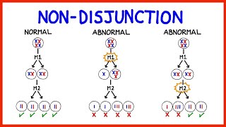 Chromosomal Abnormalities Aneuploidy and NonDisjunction [upl. by Synned]