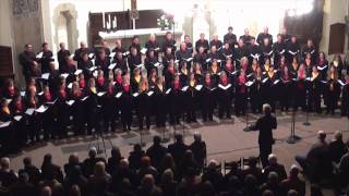 Eric Whitacre conducts LUX AURUMQUE Junges Vokalensemble Hannover [upl. by Dwain]