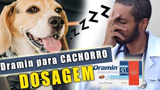 Pode dar DRAMIN para cachorro dosagem – Instruções básicas [upl. by Norb]