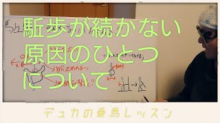 【乗馬】駈歩が続かない分析した【馬ブログ】 [upl. by Graces850]