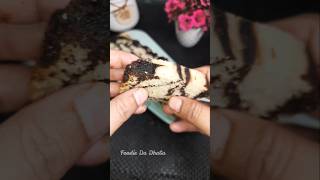 Marble Cake In Chocolate Edition  Everyone can bake this recipe subscribemychannel food cake yt [upl. by Alehc]