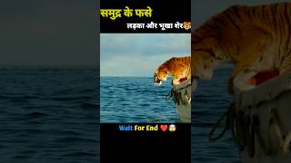 समुद्र में फसे लड़का और भूखा शेर🐯Hollywood Movies explain shorts tiger hindi shorts [upl. by Annahsad]