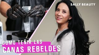 Cómo teñir las Canas Rebeldes [upl. by Lellih]