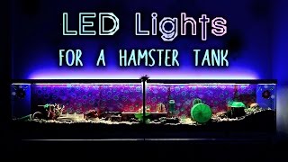 LED Lights For A Hamster Tank [upl. by Anan]