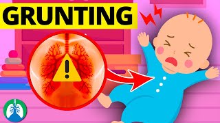 Infant Grunting Respiratory Distress  Medical Overview [upl. by Monsour]