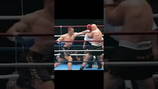 The Devastating Kicks of Mirko quotCro Copquot Filipović  MMA Highlights [upl. by Ynnohj]