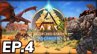 Ark Scorched Earth Ep4  Wild Mutated Baby Sabertooth [upl. by Haisi]