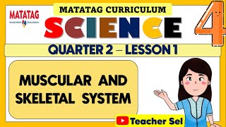 GRADE 4 SCIENCE 4 QUARTER 2 LESSONWEEK 1 MATATAG  MUSCULAR SYSTEM AND SKELETAL SYSTEM [upl. by Assenat498]