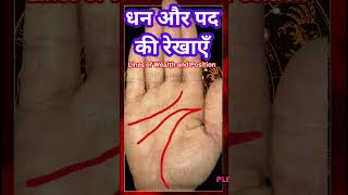 Lines of wealth and position धन और पद की रेखाएँ viral palmistry dhankirekha trending wealth [upl. by Odelinda307]