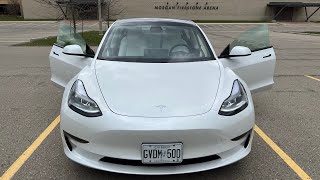 2022 TESLA MODEL 3 FULL REVIEW [upl. by Solorac204]