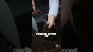 Raised Bed Mix from Arizona Worm Farm [upl. by Ailem]