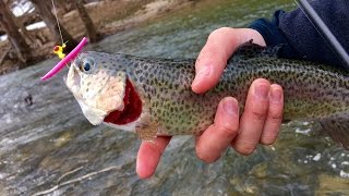 Trout Fishing with Pink Worms [upl. by Boar]