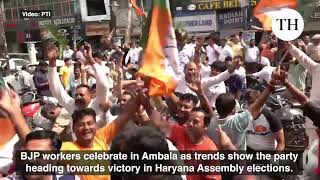 Haryana Assembly elections  BJP workers celebrate in Ambala [upl. by Kong369]