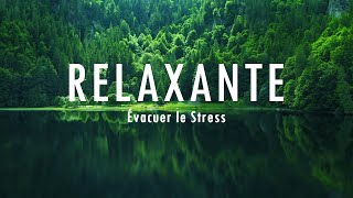 Musique relaxante pour lisolement et la tranquillité desprit arrêtez lanxiété• Évacuer le Stress [upl. by Barbarese]