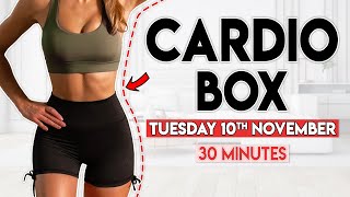 CARDIO BOX full body fat burn  30 minute Home Workout [upl. by Iddo686]