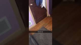 Cat slips under closed door [upl. by Montford]