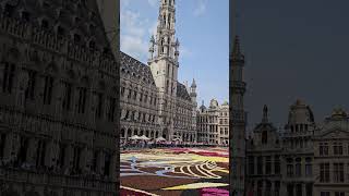 Flower Carpet 2024 Brussels Belgium [upl. by Ferneau97]