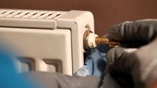 How to Bleed a Radiator  British Gas [upl. by Sukram]