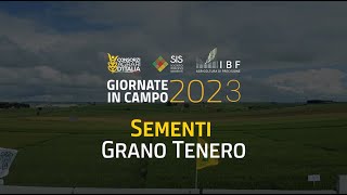 2023  Sementi  Grano Tenero [upl. by Hteb681]